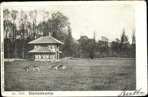 Ak Alkmaar Nordholland Niederlande, Hertenkamp