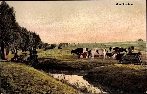 Ak Monnikendam Waterland Nordholland Niederlande, Kuhweide, Wassergraben