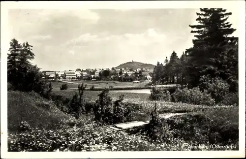 Ak Altenberg im Erzgebirge, Panorama