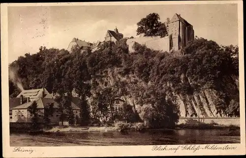 Ak Leisnig in Sachsen, Blick auf Schloss Mildenstein