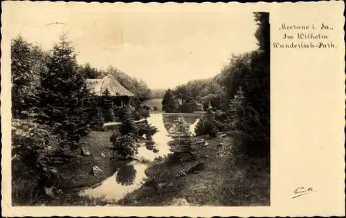 Ak Meerane in Sachsen, Partie im Wilhelm Wunderlich Park