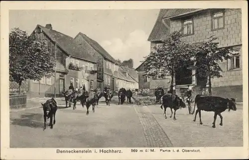 Ak Benneckenstein Oberharz, Oberstadt, Viehtrieb durch Ort