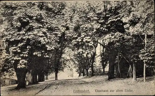 Ak Frohnsdorf Treuenbrietzen in Brandenburg, Gasthaus zur alten Eiche