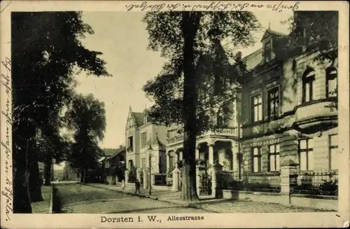 Ak Dorsten in Westfalen, Alleestraße