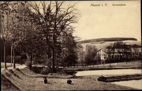 Ak Plauen im Vogtland, Holzmühle