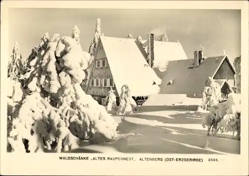 Ak Altenberg im Erzgebirge, Waldschänke Altes Raupennest im Winter