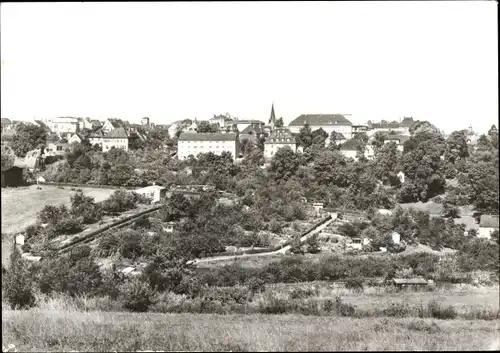Ak Leisnig in Sachsen, Ortsansicht