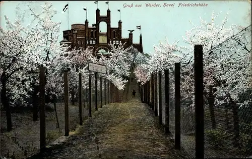 Ak Werder an der Havel, Friedrichshöhe, Baumblüte