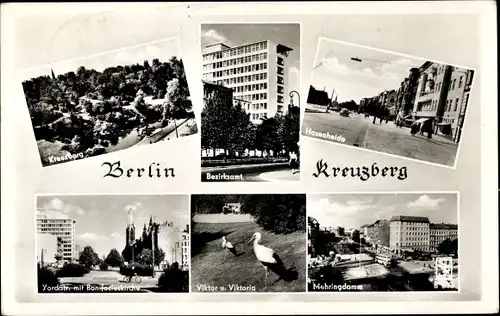 Ak Berlin Kreuzberg, Hasenheide, Bezirksamt, Mehringdamm, Störche Viktor, Viktoria, Bonifaciuskirche
