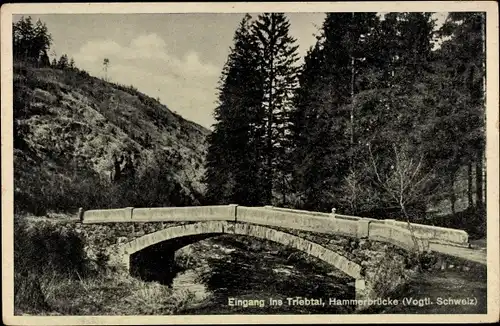 Ak Pöhl Vogtland, Eingang ins Triebtal, Hammerbrücke