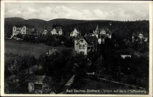 Ak Bad Sachsa im Harz, Villen auf dem Pfaffenberg