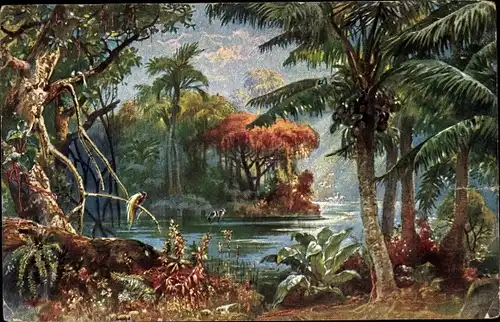 Künstler Ak Kamerun, Landschaft, Palmen, Kolonialkriegerdank