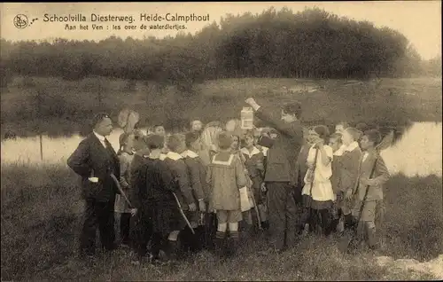 Ak Kalmthout Calmpthout Flandern Antwerpen, Diesterweg's Schoolvilla, Waterdiertjes