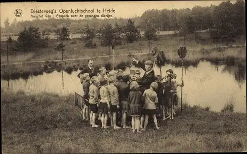 Ak Kalmthout Calmpthout Flandern Antwerpen, Diesterweg's Schoolvilla, Waterdiertjes
