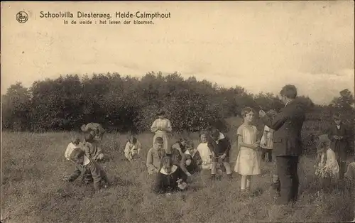 Ak Kalmthout Calmpthout Flandern Antwerpen, Diesterweg's Schoolvilla, Het leven der bloemen