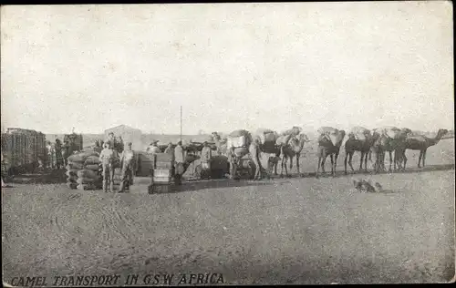 Ak Camel Transport, Kamele, Afrika