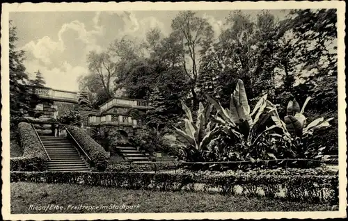 Ak Riesa an der Elbe Sachsen, Freitreppe im Stadtpark