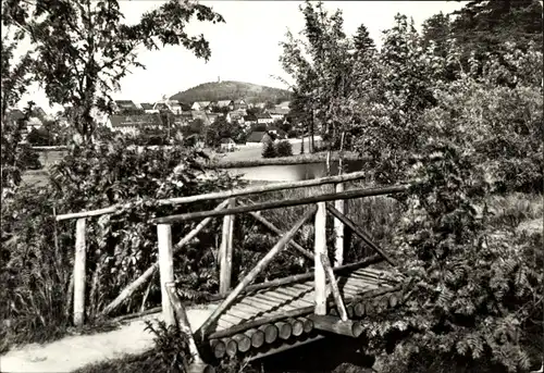 Ak Altenberg im Erzgebirge, Holzbrücke, Ortsansicht