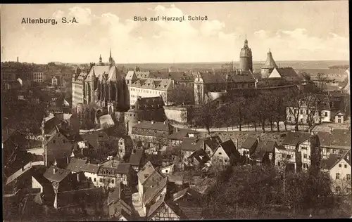 Ak Altenburg in Thüringen, Blick über die Dächer der Stadt auf das Herzogliche Schloss