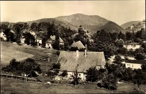 Ak Hayn Oybin Oberlausitz, Blick auf Ameisenberg und Berg Oybin