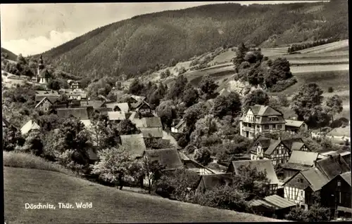 Ak Döschnitz in Thüringen, Panorama