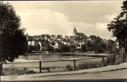Ak Ronneburg in Thüringen, Baderteich, Teilansicht
