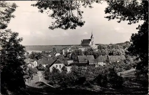 Ak Neuzelle in Brandenburg, Teilansicht