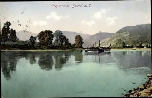 Ak Dolní Zálezly Salesel Region Aussig, Elbepartie