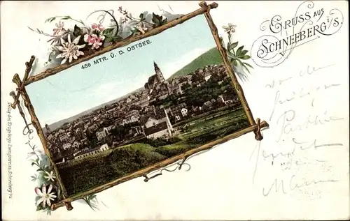 Passepartout Ak Schneeberg im Erzgebirge, Panorama