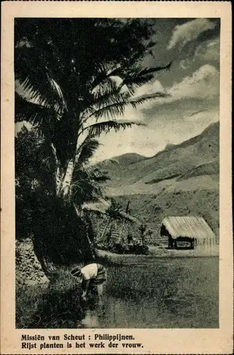 Ak Philipponen, Mission van Scheut, Frau beim pflanzen