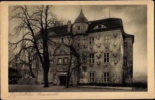Ak Berlin Wilmersdorf Grunewald, Jagdschloss