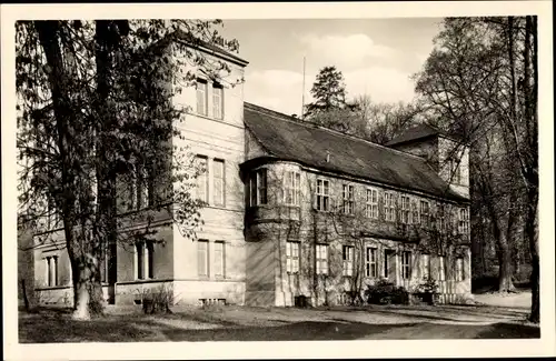 Ak Berlin Reinickendorf Tegel, Schloss Tegel