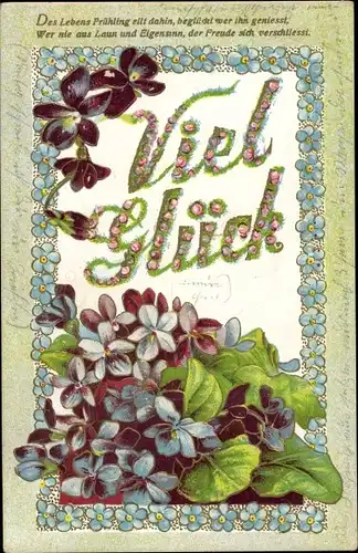 Präge Ak Viel Glück, Des Lebens Frühling eilt dahin, Veilchen, Vergissmeinnicht