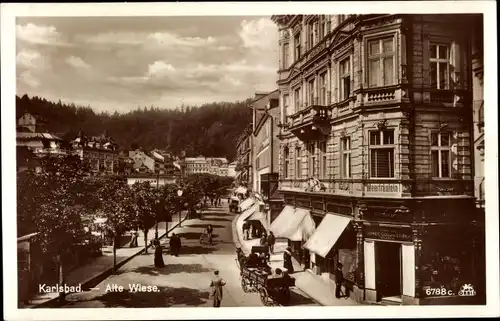 Ak Karlovy Vary Karlsbad Stadt, Alte Wiese