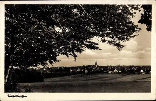 Ak Winterlingen Schwäbische Alb, Teilansicht