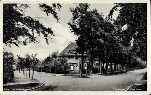 Ak Driebergen Utrecht Niederlande, Hoogesteeg, Parklaan