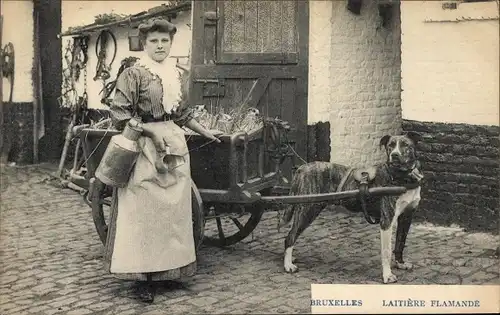 Ak Bruxelles Brüssel, Laitiere Flamande, Hundekarren, Milchfrau