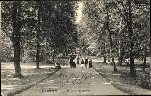 Ak Magdeburg an der Elbe, Partie im Herrenkrug