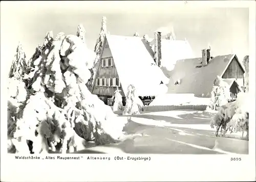 Ak Altenberg im Osterzgebirge, Waldschänke Altes Raupennest im Winter