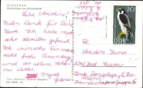 Ak Glauchau in Sachsen, Ruderer am Gründelhaus, Gründelteich