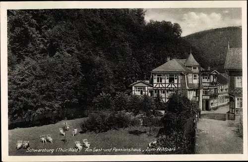 Ak Schwarzburg in Thüringen, Am Gast- und Pensionshaus Zum Wildpark, Fachwerkhaus, Gäste