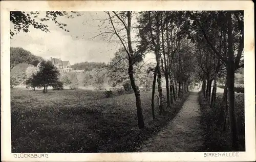 Ak Glücksburg an der Ostsee, Birkenallee