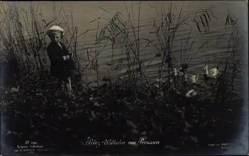 Ak Prinz Wilhelm von Preußen, Teich mit Enten