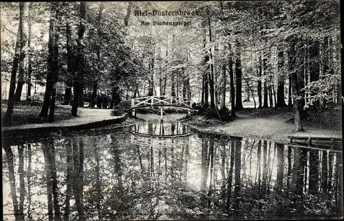 Ak Düsternbrook Kiel, Am Dianenspiegel