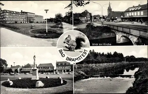 Ak Bad Bramstedt in Holstein, Eichhörnchen, Blick zur Kirche, Auetal, Markt mit Roland, Kurhaus