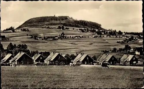 Ak Bärenstein Erzgebirge, Teilansicht mit Berg Bärenstein, Kuhweide