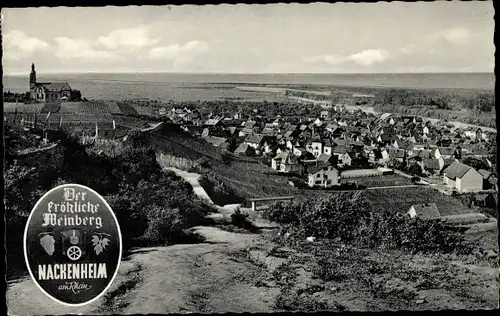 Ak Nackenheim am Rhein, Der fröhliche Weinberg, Panorama