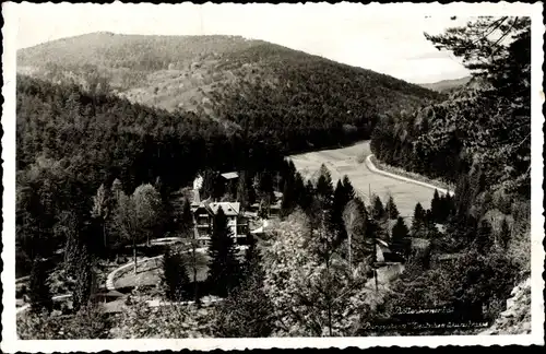 Foto Ak Bad Bergzabern an der Weinstraße Pfalz, Panorama