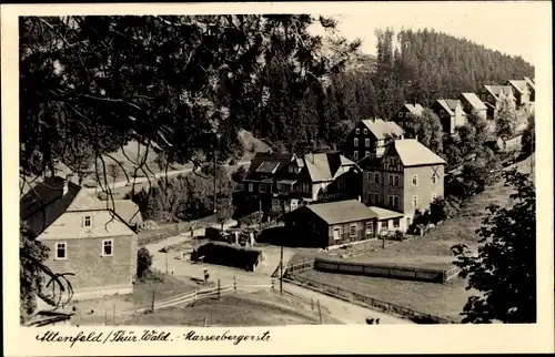 Ak Altenfeld Großbreitenbach in Thüringen, Masserbergerstraße