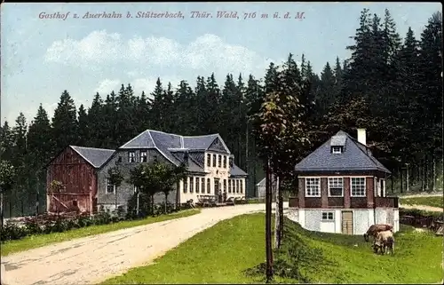 Ak Stützerbach Ilmenau Thüringer Wald, Gasthof zum Auerhahn
